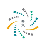 شركة آيتونمي الذكية للصناعة